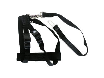 Bezpečnostní postroj do auta