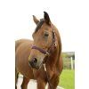 Stájová ohlávka pro koně, vel.4 (Xfull) a