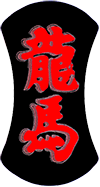 Japonská truhlářská palička RYUMA - 300 x 36 mm