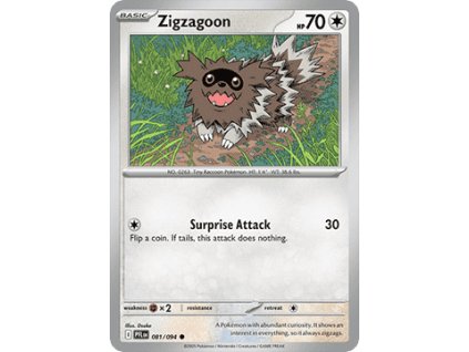 Zigzagoon (PFL 081)