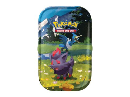 Ascended Heroes Zorua Mini Tin