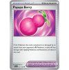 Payapa Berry (SCR 141)