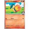 Ethan's Cyndaquil (DRI 032)