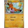 Raichu (MFB)