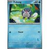 Poliwag (MFB)
