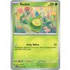 Budew (ASC 016)