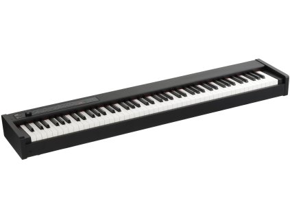 Korg D1