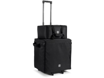 LD Systems DAVE 10 G4X BAG SET