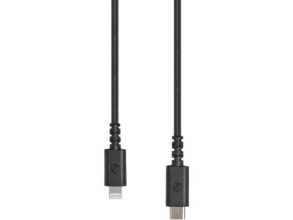 Lewitt CONNECT C2L