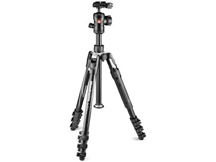 Manfrotto Befree 2n1