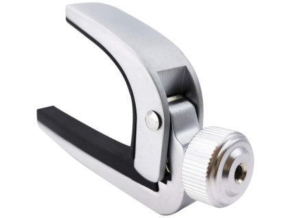 Mozos CAPO-SV