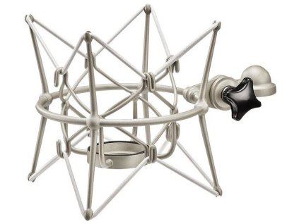 Neumann EA 170