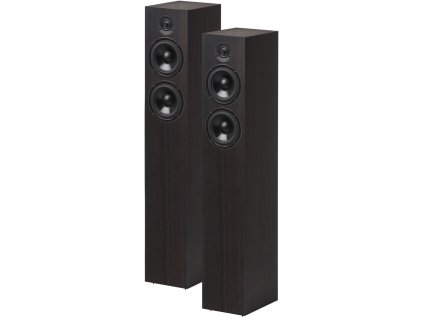 Pro-Ject Speaker Box 10 DS2 Eucalyptus