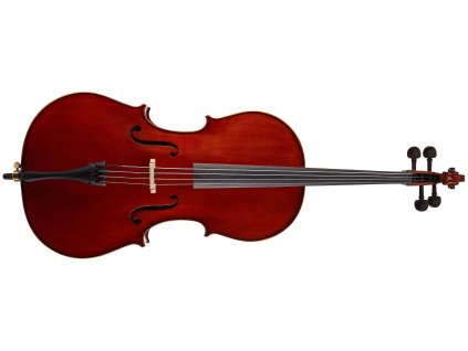 Soundsation VPCE-SV12