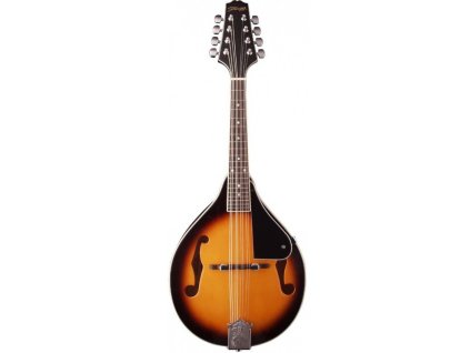 Stagg M20 S