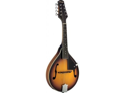 Stagg M40 S