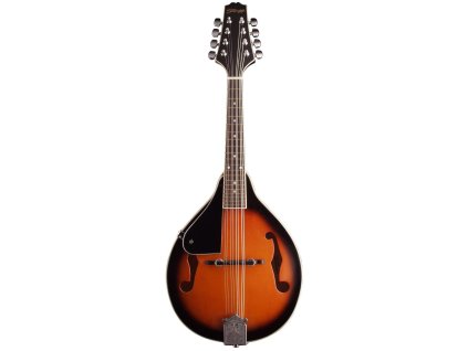 Stagg M20 LH