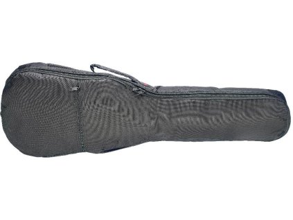 Stagg STB-5 C2