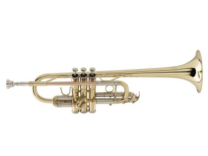 Soundsation STPGD-10C