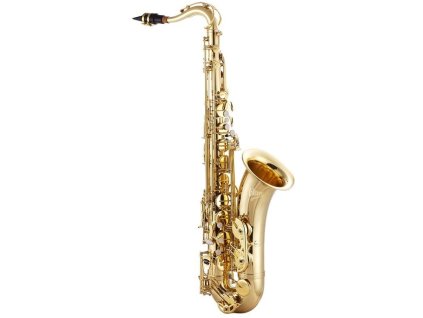 V-TONE TS 100