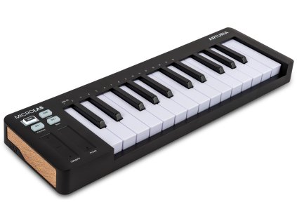 Arturia MicroLab mk3 black