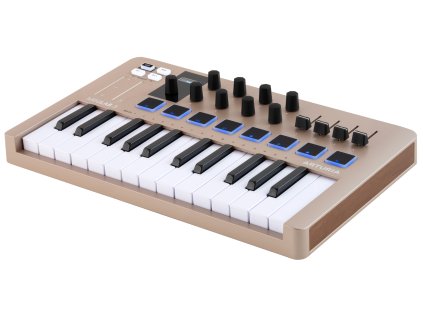 MINILAB CHAMPAGNE 3 4 LEFT