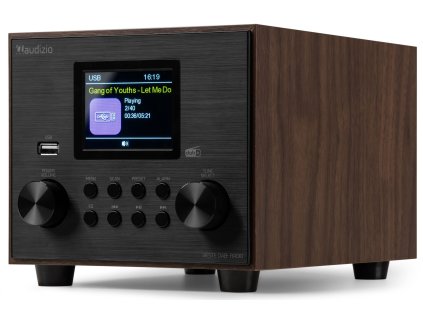 Audizio Vieste DAB+ Radio with subwoofer wood