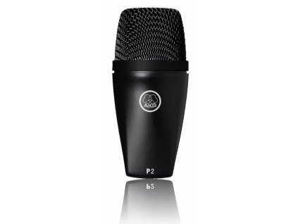 AKG Perception Live P2