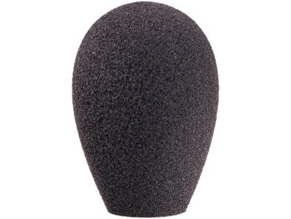 AKG W 32