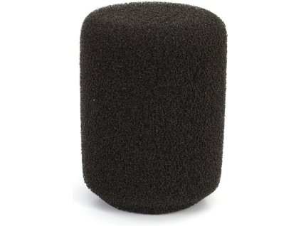AKG W1001