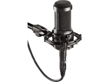 Audio-Technica AT2050