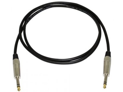 Bespeco XCS100
