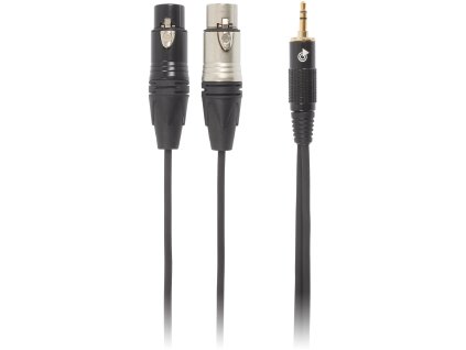 Bespeco EAYMS2FX500R