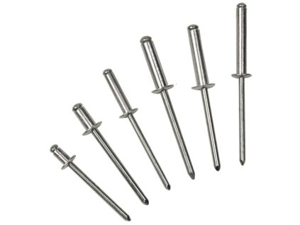 Bralo 55924006