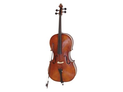 Dimavery violoncello 4/4, s pouzdrem