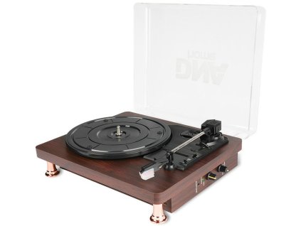 DNA TT1