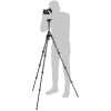 Manfrotto Befree GT XPRO Carbon tripod