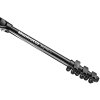 Manfrotto Befree 2n1