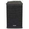 Samson RSX-110 - 2-pásmový pasivní reprobox