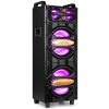 Fenton LIVE2102 Party Station 2x 10" 800W