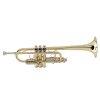 Soundsation STPGD-10C