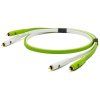 d+classB RCA 001 1200.jpg