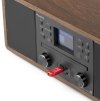 Audizio Avola Digital music system CD/BT/DAB+/Internet wood
