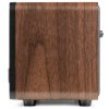 Audizio Genua DAB+ Stereo radio wood