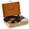 Audizio RP119 Record player gold