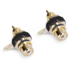 Adam Hall Connectors 4 STAR PR2 BLK