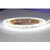 eLite LED páska SMD3528, studená bílá, 12V, 1m, 120 LED/m