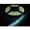 eLite LED páska SMD3528, studená bílá, 12V, 1m, IP54, 120 LED/m