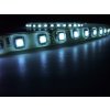 eLite LED páska SMD5050, studená bílá, 12V, 1m, IP68, 60 LED/m