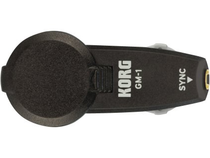 Korg GM-1 4 Set